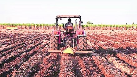 Cultivation or destruction of land The land becomes saline and infertile for agriculture