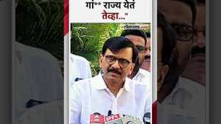 "काय हवं ते करा..."; संजय राऊतांची सरकारवर परखड शब्दांत टीका | Sanjay Raut