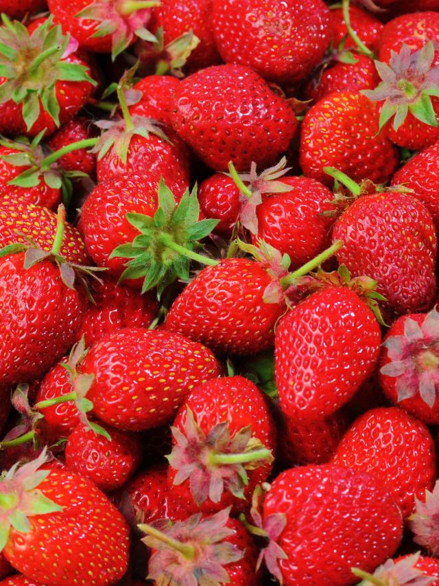 health benefits of strawberry health tips gujarati news