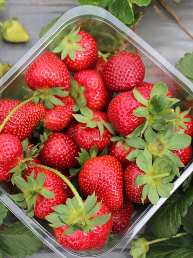 health benefits of strawberry health tips gujarati news