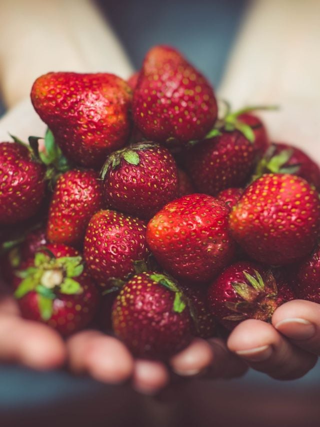 health benefits of strawberry health tips gujarati news