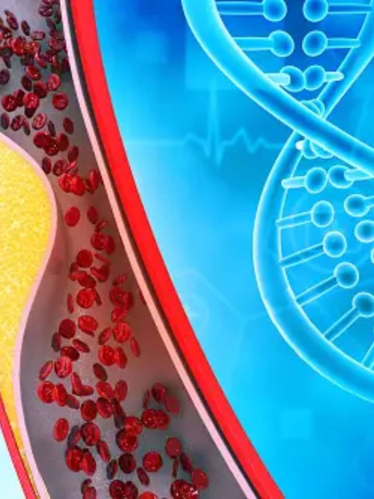 cholesterol control tips morning drinks to lower cholesterol level health tips gujarati news