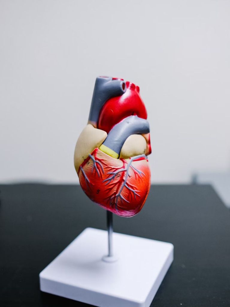 cholesterol control tips morning drinks to lower cholesterol level health tips gujarati news