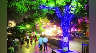 thane, Electric Lighting, Trees, Legal Notice, TMC, BMC, State Environment Department,