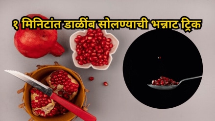 Amazing Trick to Peel Pomegranate