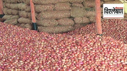 Loksatta explained Why central government imposes export ban on agricultural produce what is the loss to farmers