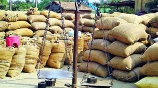 is Paddy purchase scam again in Gadchiroli shetkari kamgar party demand to file criminal cases against the culprits