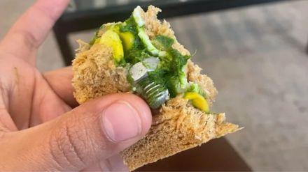 IndiGo passenger share shocking post and said found screw in sandwich