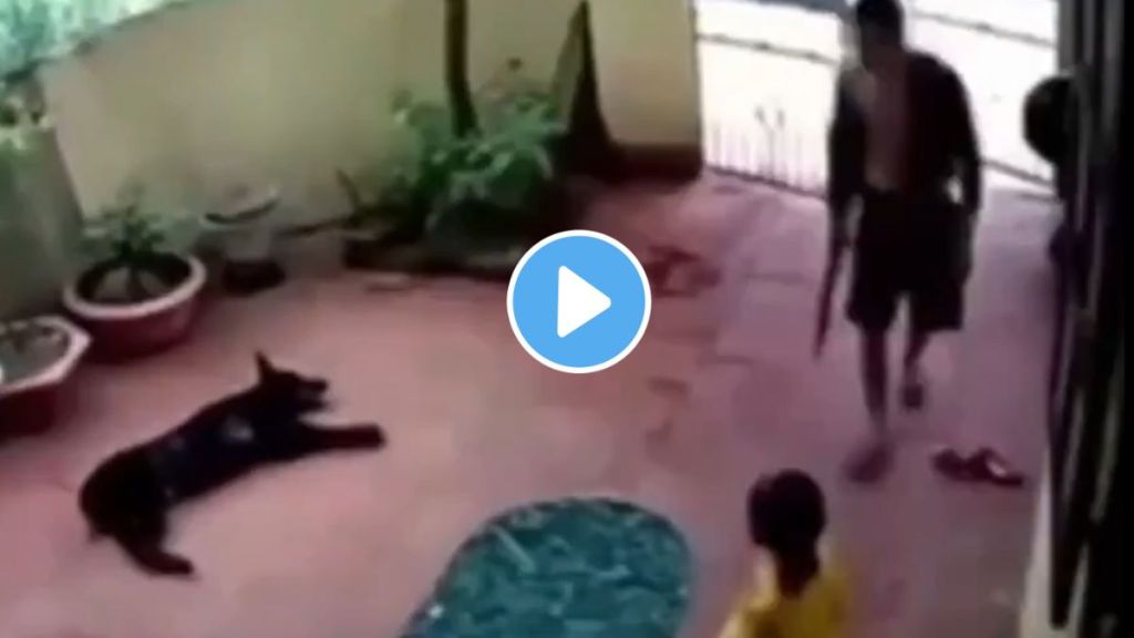 The dog acted like a dead and saved from kidnapper