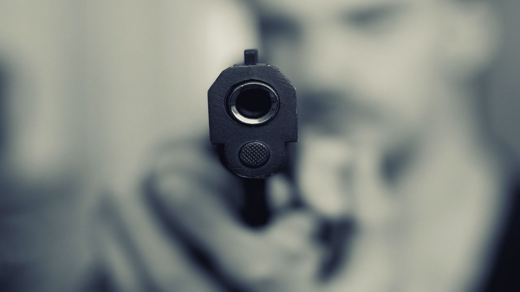 pistols Nagpur city