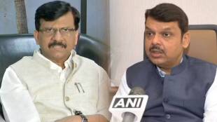 sanjay raut devendra fadnavis (9)
