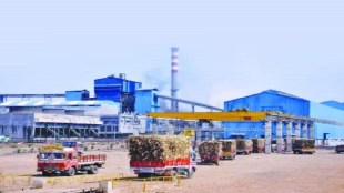 Ban on export and sale of sugar along with sugarcane FRP