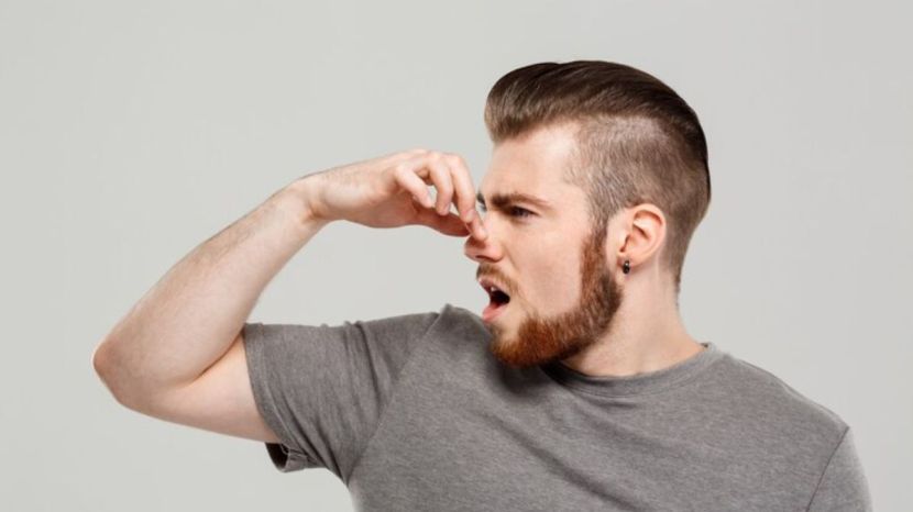 why its impossible to hum while holding your nose