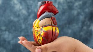 how to increase good cholesterol level