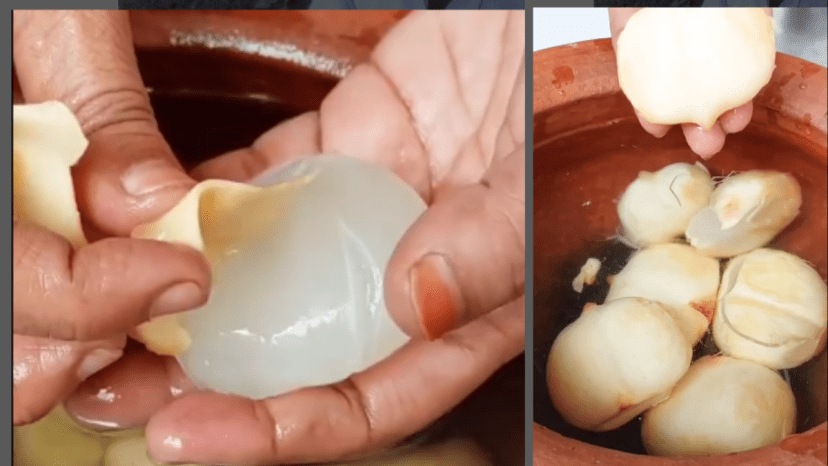 What is ice apple palm fruit tadgola rare indian fruit superfood benfits