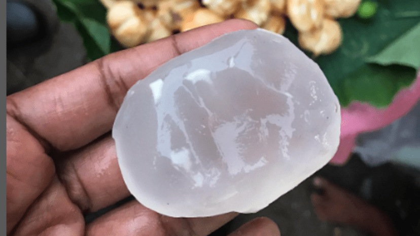 What is ice apple palm fruit tadgola rare indian fruit superfood benfits