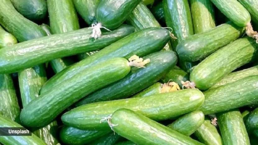 6 Tips to Find Fresh Cucumber In One View signs of Kakdi Gharguti Jugadu Way To Reduce Bitterness From Cucumber Save money