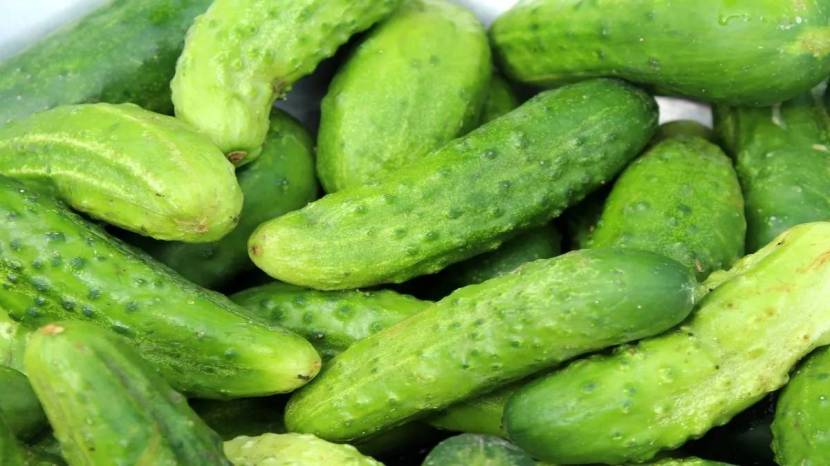 6 Tips to Find Fresh Cucumber In One View signs of Kakdi Gharguti Jugadu Way To Reduce Bitterness From Cucumber Save money