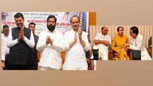Mahayuti and MVA