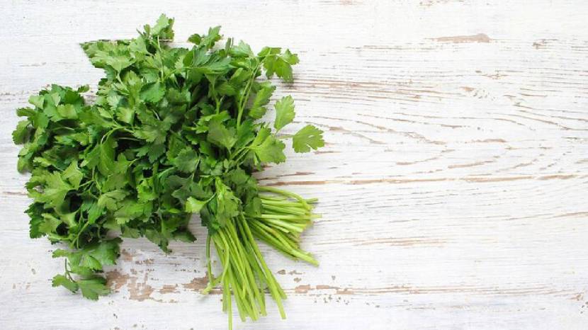 Chew Green Coriander Leaves On Empty Stomach Daily Morning