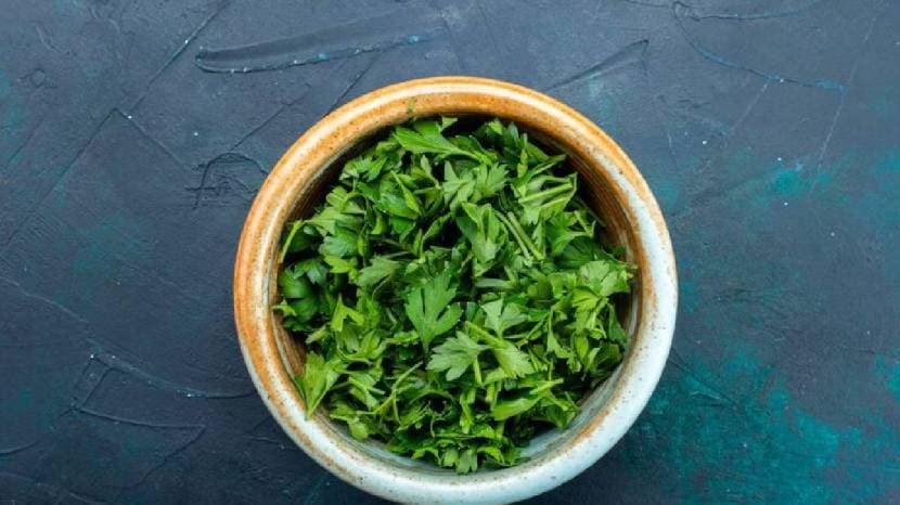 Chew Green Coriander Leaves On Empty Stomach Daily Morning