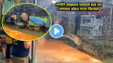 dreaded crocodile suddenly attacked zoo trainer see shocking viral video
