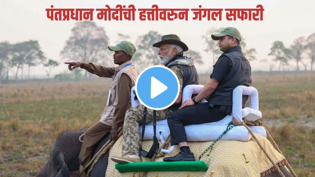 pm narendra modi takes elephant ride at assams kaziranga national park pm narendra modi takes elephant ride at assams kaziranga national park