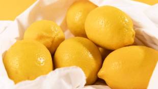 Eight Incredible Facts Uses and Health Benefits Of Lemon Every One should know