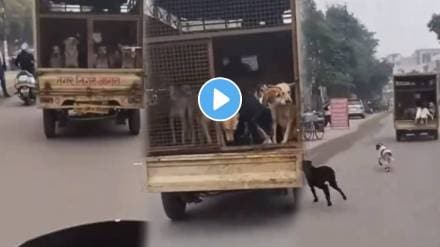viral video of biker sets free dog being carried in agr nagar nigam van on highway in up