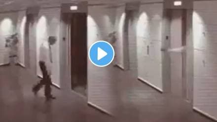 Lift accident video