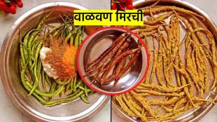summer special valvan mirchi recipe in marathi stuffed dried chilli