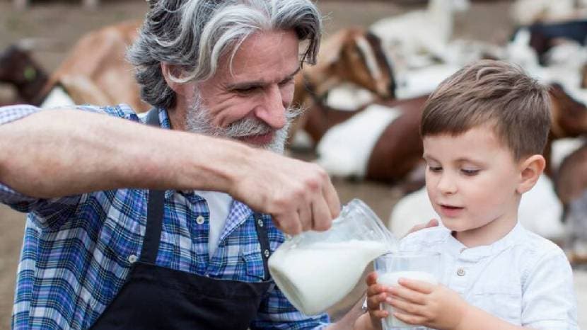 The Best Type Of Milk To Give To Children 