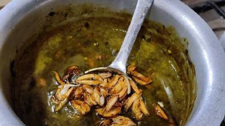 Aaluchya pananchi patal bhaji recipe