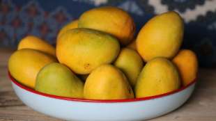 how to identify sweet mango without cutting 5 tricks to identify ripe and sweet mango