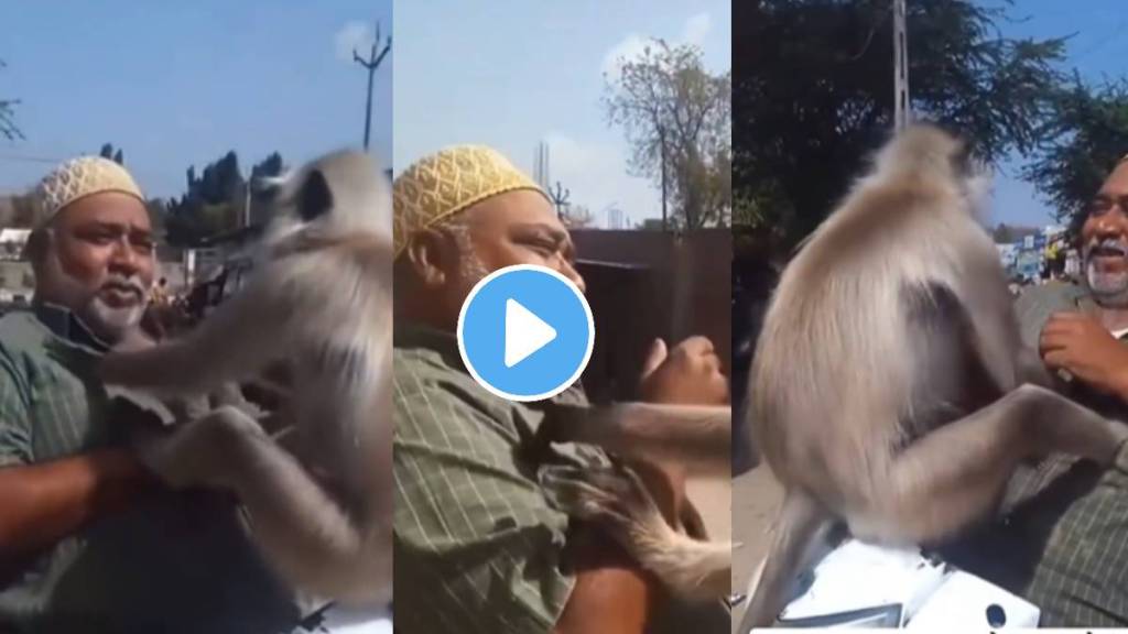Monkey Jump On Running Scooty Funny Video