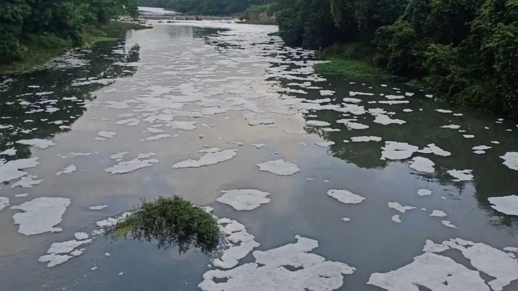 Crime against four for polluting Pavana river