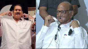 Sharad pawar udyanraje bhosle satara lok sabha election