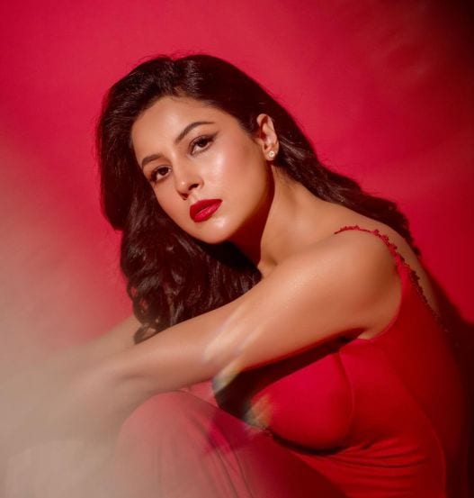 Shehnaaz Gill Red Gown Look