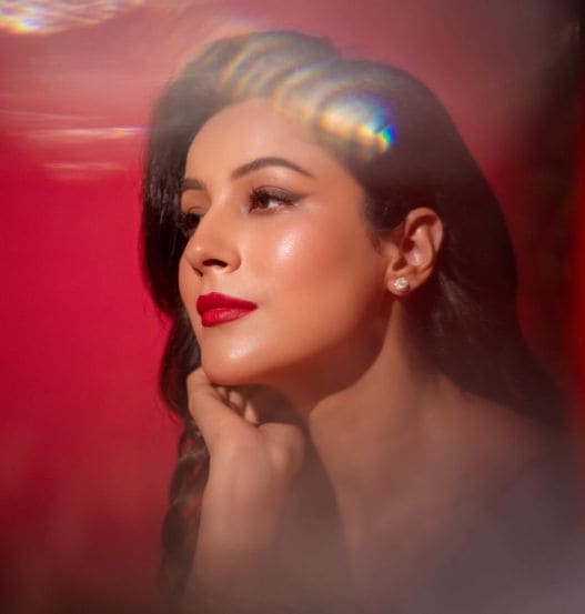Shehnaaz Gill Red Gown Look