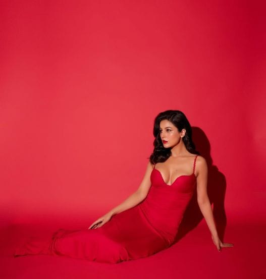 Shehnaaz Gill Red Gown Look