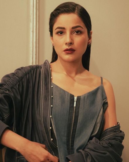 Shehnaaz Gill Red Gown Look