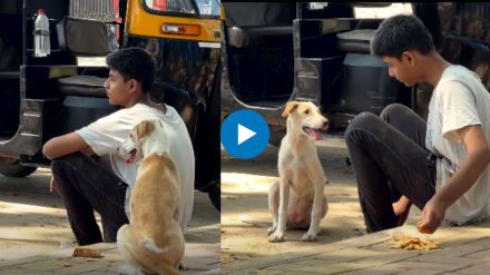 Viral video of boy helping dog