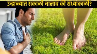 Question Solved Morning or Evening Perfect Time For Walk In Summer To Burn Calories Faster Two Imp Things during Walk to Get in Shape