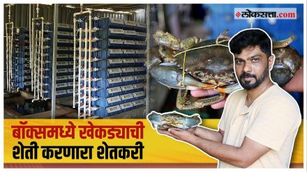 Vikas vaze is doing Vertical Box Crab Farming 