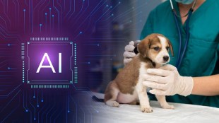 How Artificial Intelligence Helps to Talk with Animal in Marathi