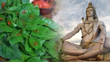 Bel Patra Lord Shiva