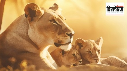 World Wildlife Day