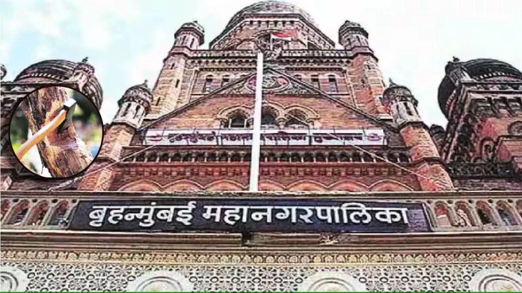 bmc Urges Citizens to Avoid Tree Cutting During Holi warning of Police Complaint for Unauthorised Felling