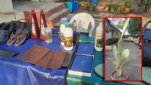 A project in Pune to produce juice animal feed natural leather from cactus Pune news
