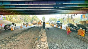 navi mumbai, palm beach road